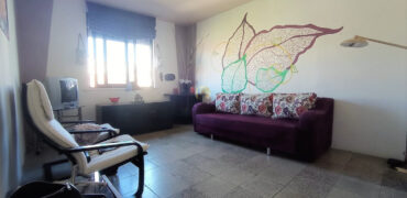 Apartament 1+1 , Rruga Mine Peza (Ap4011442)